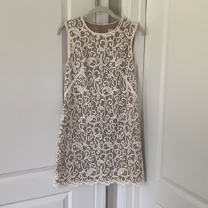 LOFT White/nude lace dress